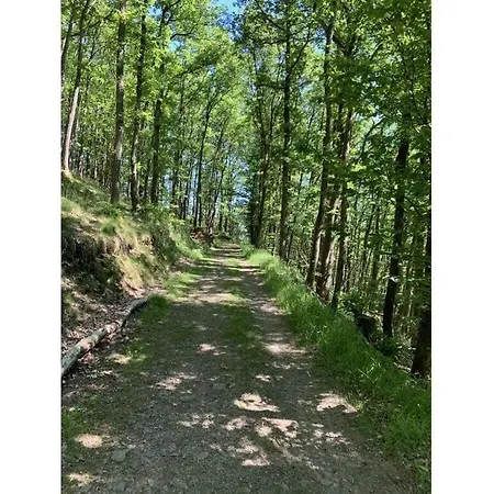 Chalet St Lambertus B *