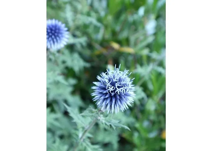 St Lambertus B Lambertsberg