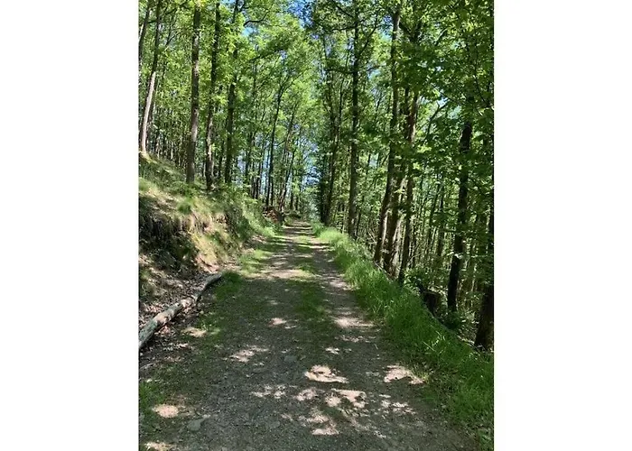 בקתה St Lambertus B *